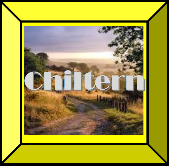 Chiltern team