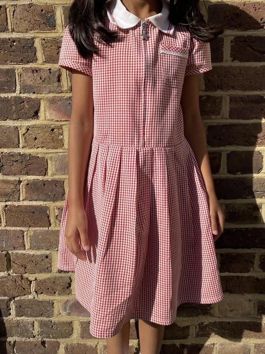 Picture of red gingham dress