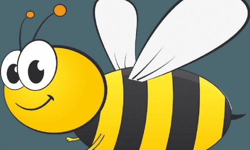 Image of a bee