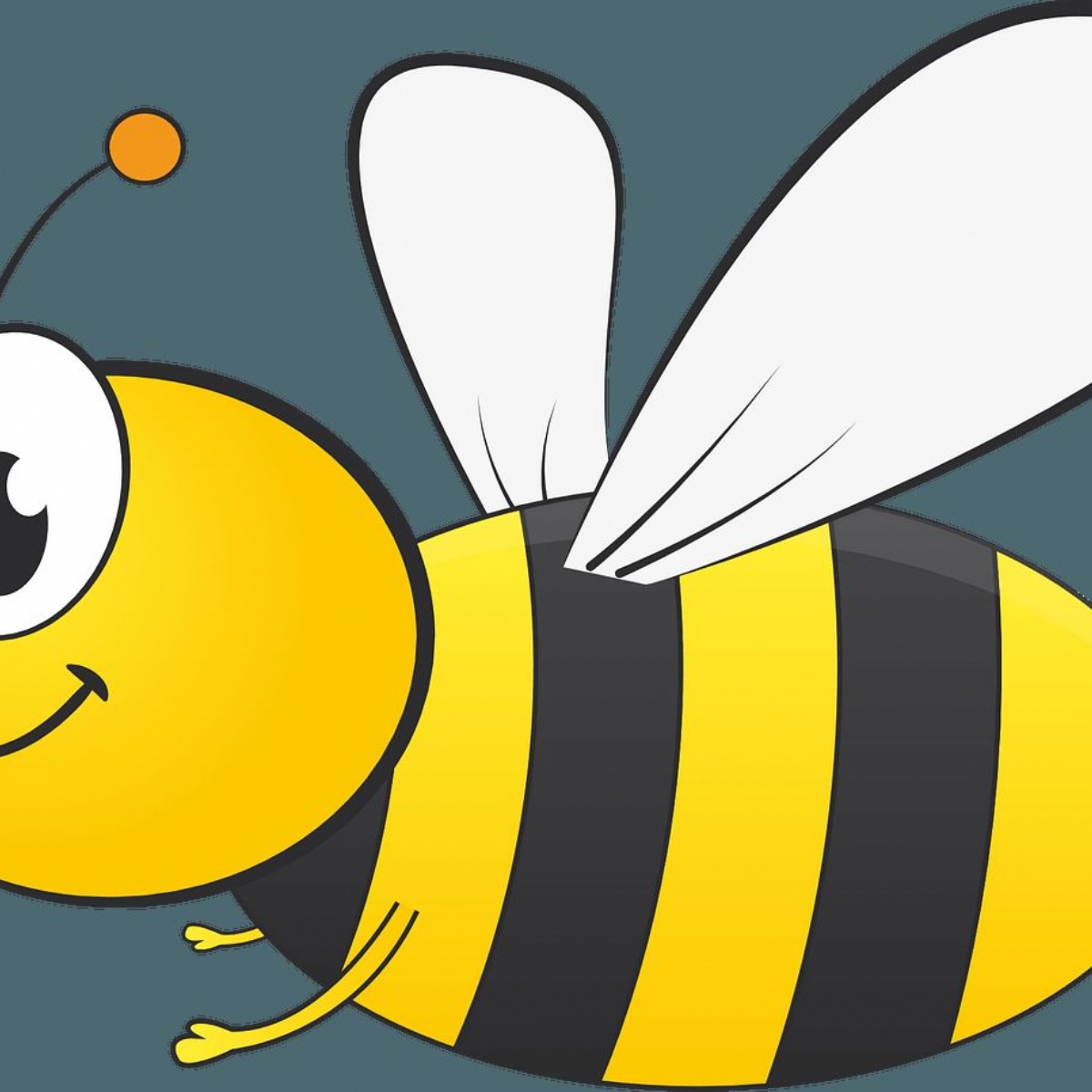 whitehall-junior-school-spelling-bee